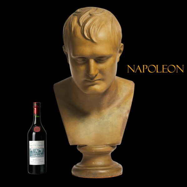 Napopleon-Statue-bust-antique-88130-5