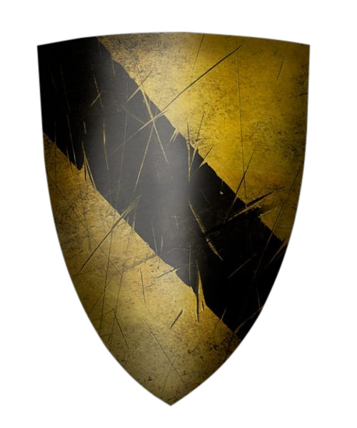 1764-teuronic-battle-shield-medieval-defence-armor