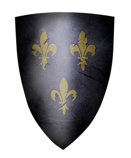 French-Medieval-shield-Fleurs-de-lys-royal-medieval-shield-1757